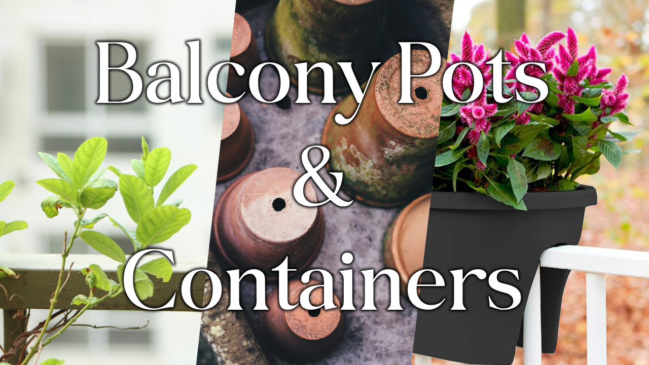Choosing The Right Pots & Containers For Your Balcony