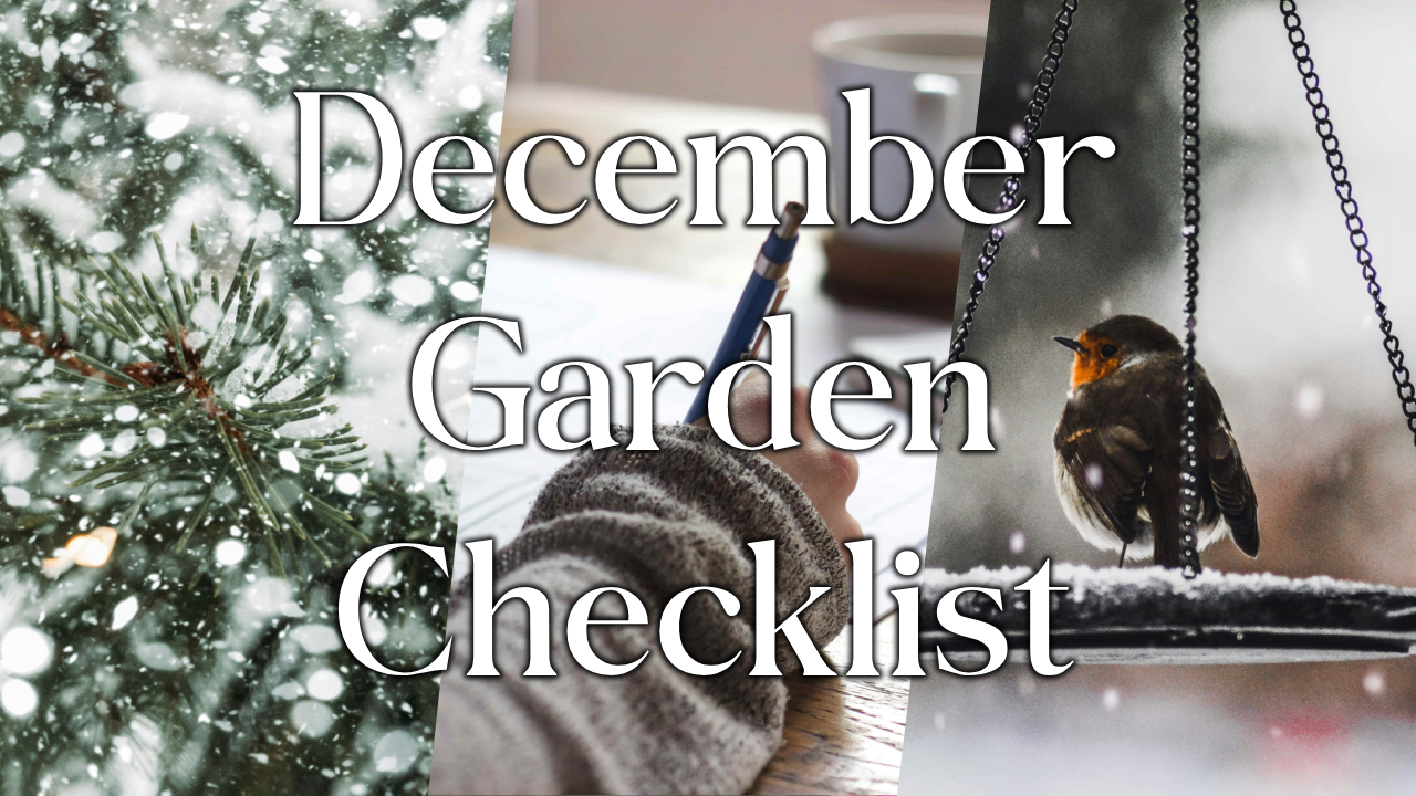 December Garden To Do List