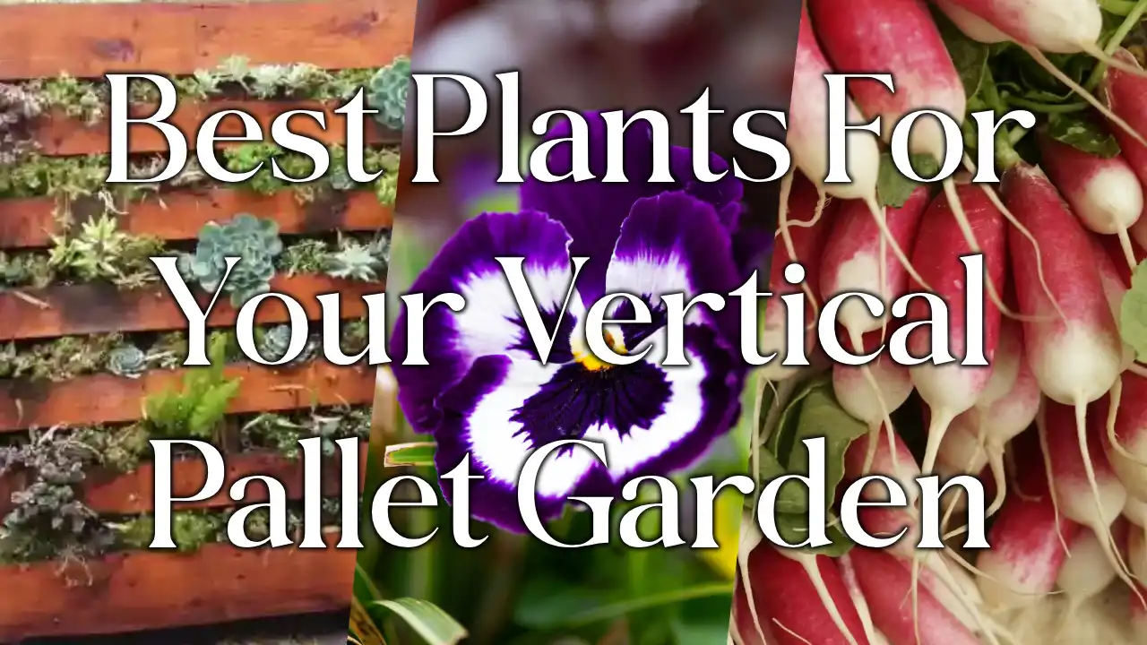 11 Best Plants to Grow in a Vertical Pallet Garden