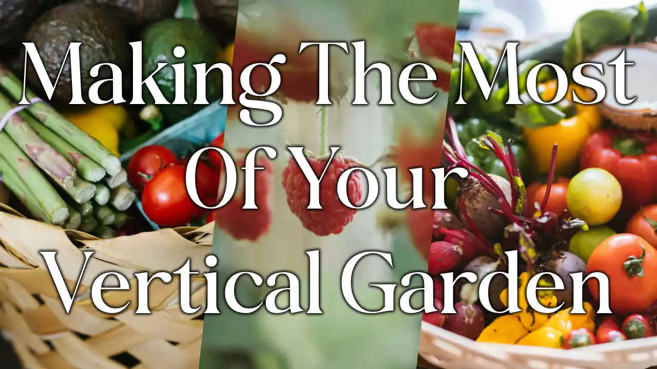 How Much Can You Grow In A Vertical Garden? A Guide To Maximising Your Space