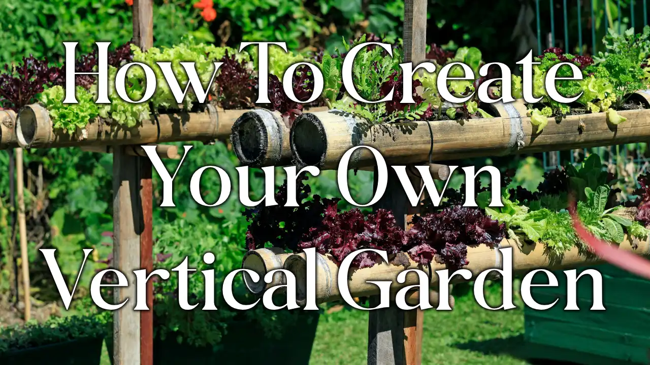 How to Create a Vertical Garden In Your Space