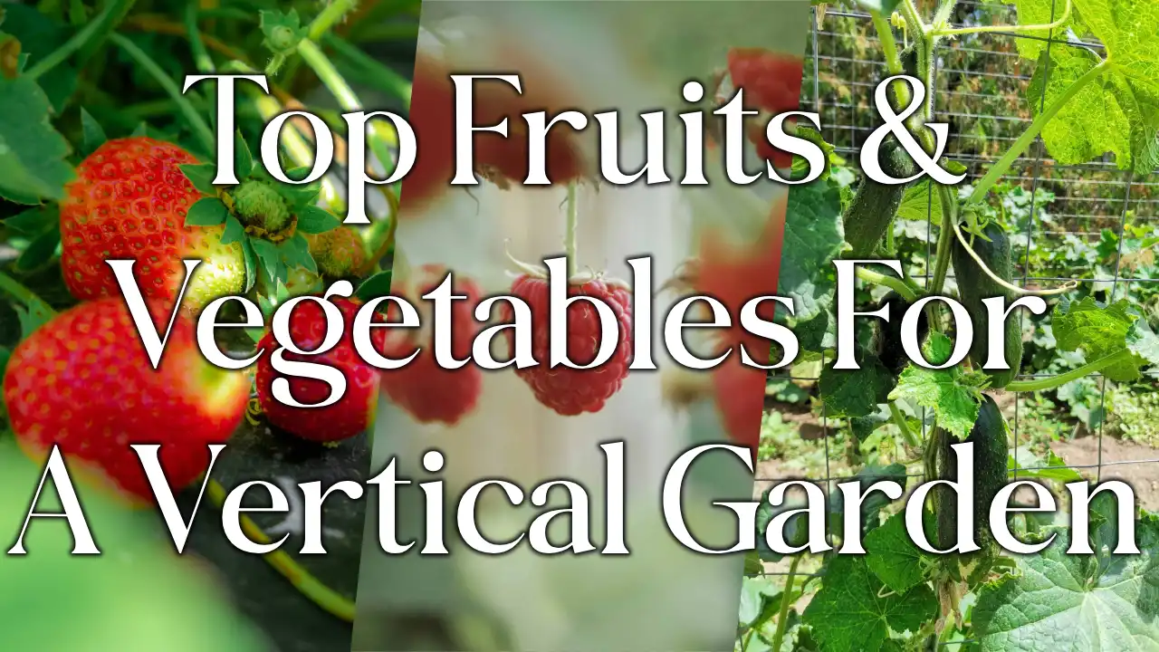 Our Top 12 Fruits and Vegetables To Grow In a Vertical Garden