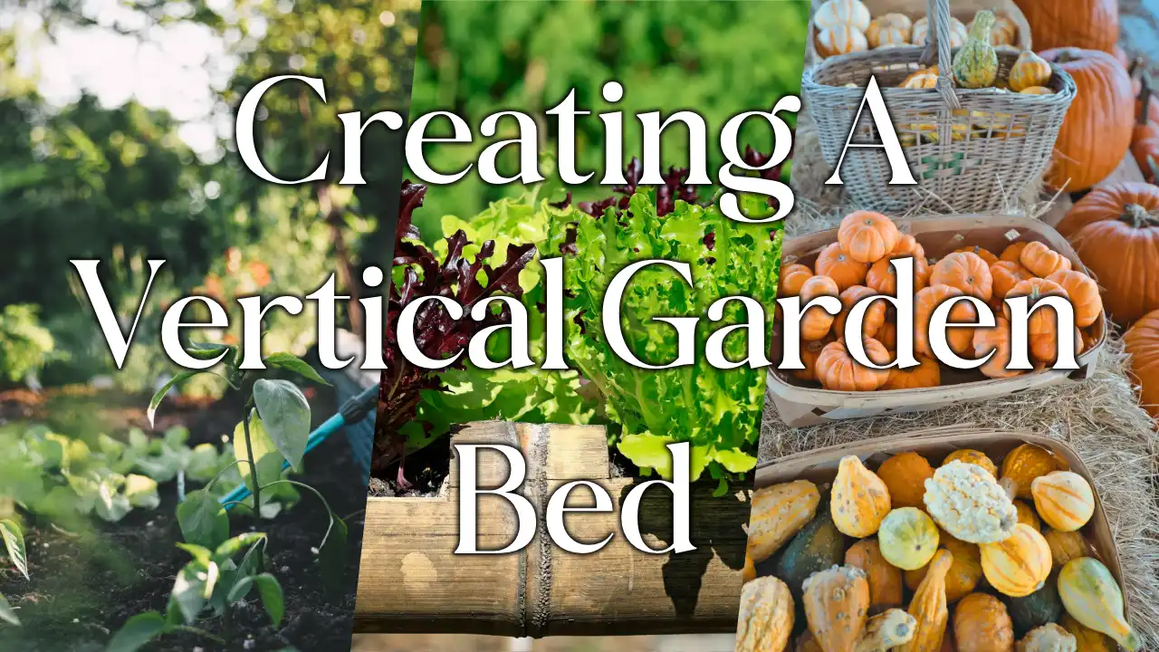 The Complete Guide To Creating a Vertical Garden Bed